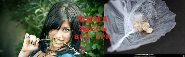 прущие грибы Заволжье