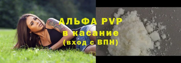 прущие грибы Заволжье