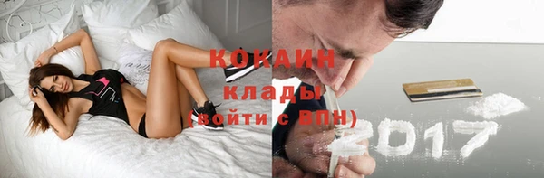 прущие грибы Заволжье