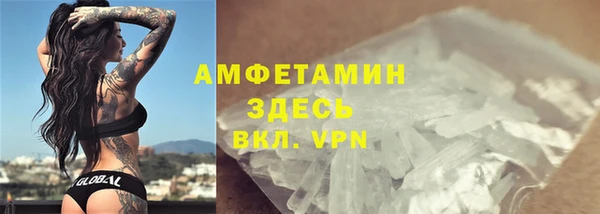 прущие грибы Заволжье
