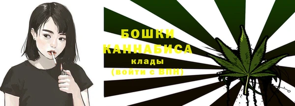 прущие грибы Заволжье
