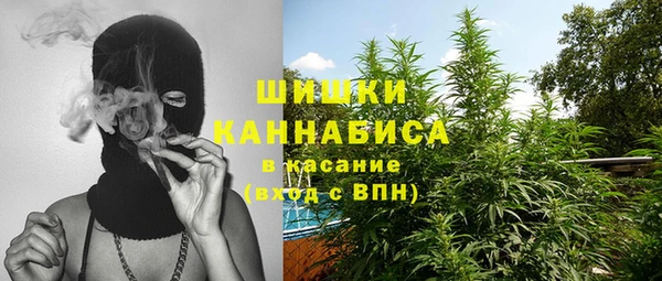 прущие грибы Заволжье