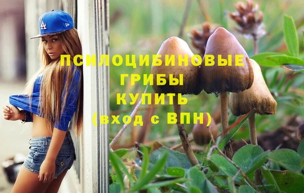 ECSTASY Заволжск