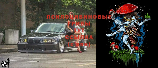 ECSTASY Заволжск