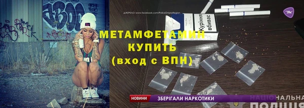 прущие грибы Заволжье