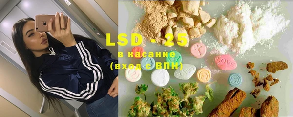 прущие грибы Заволжье